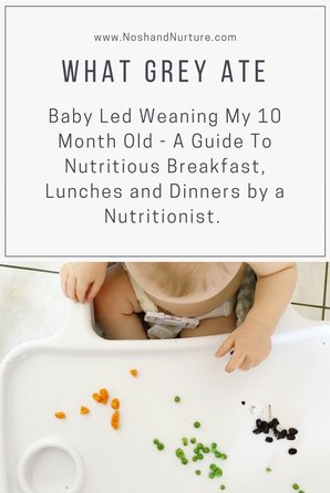 Baby Led Weaning - 10 Month Old - Nosh and Nurture